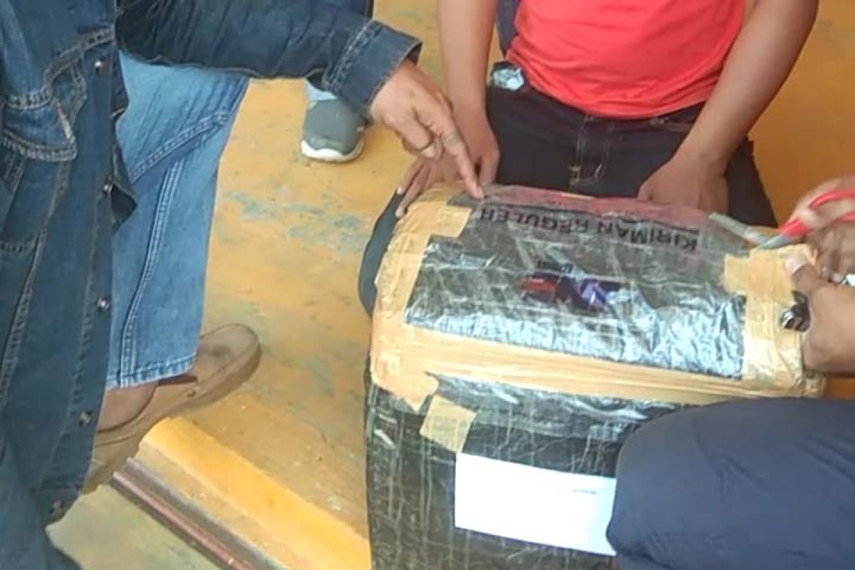 BNN Jatim Gagalkan Peredaran Ganja 7 Kilogram