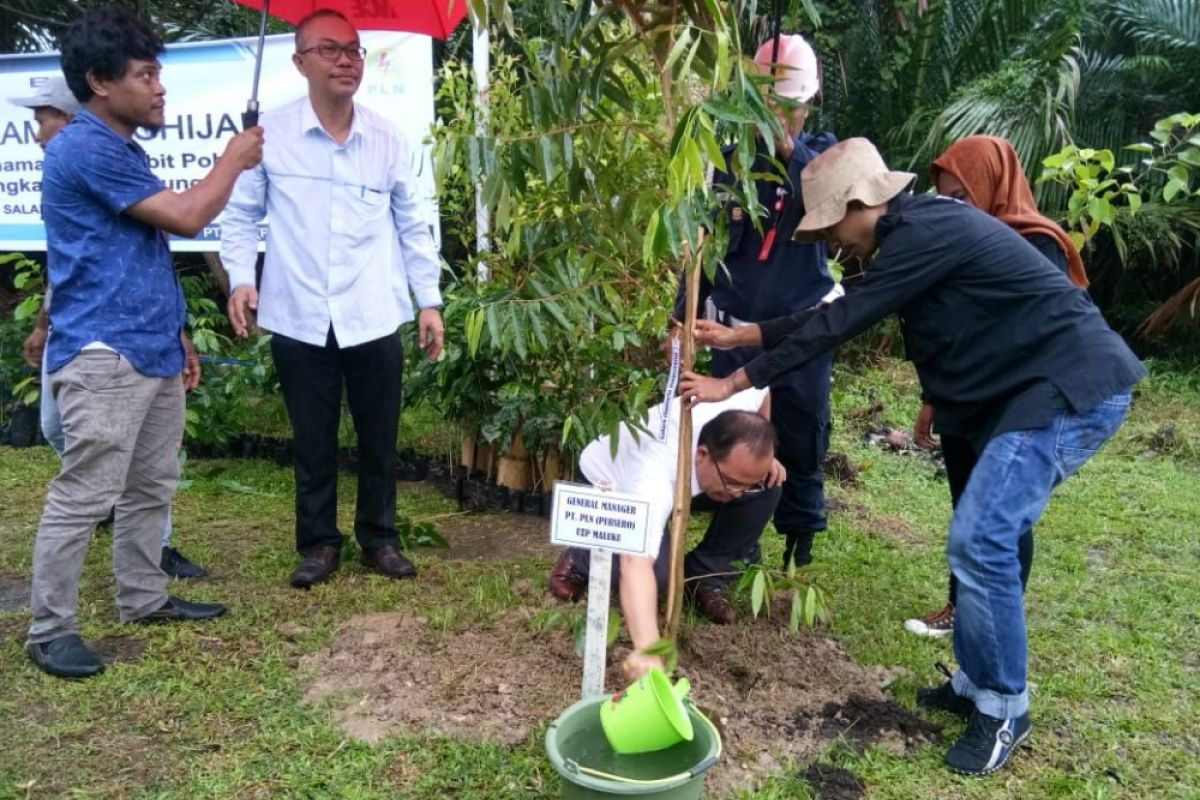 PLN UIP Maluku-Unpatti tanam 1.000 pohon