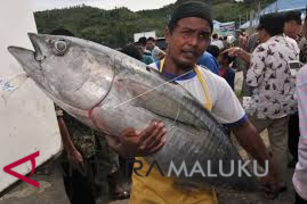 DKP Ambon tingkatkan kapasitas sumber daya nelayan