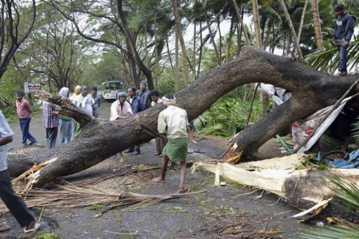 21 orang tewas akibat hujan badai di India