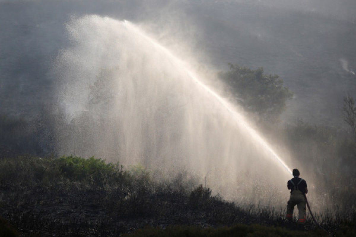 Kebakaran hutan picu evakuasi di California