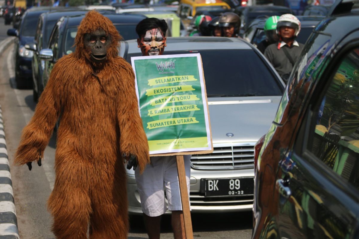 Walhi minta PLTA Batang Toru dibatalkan