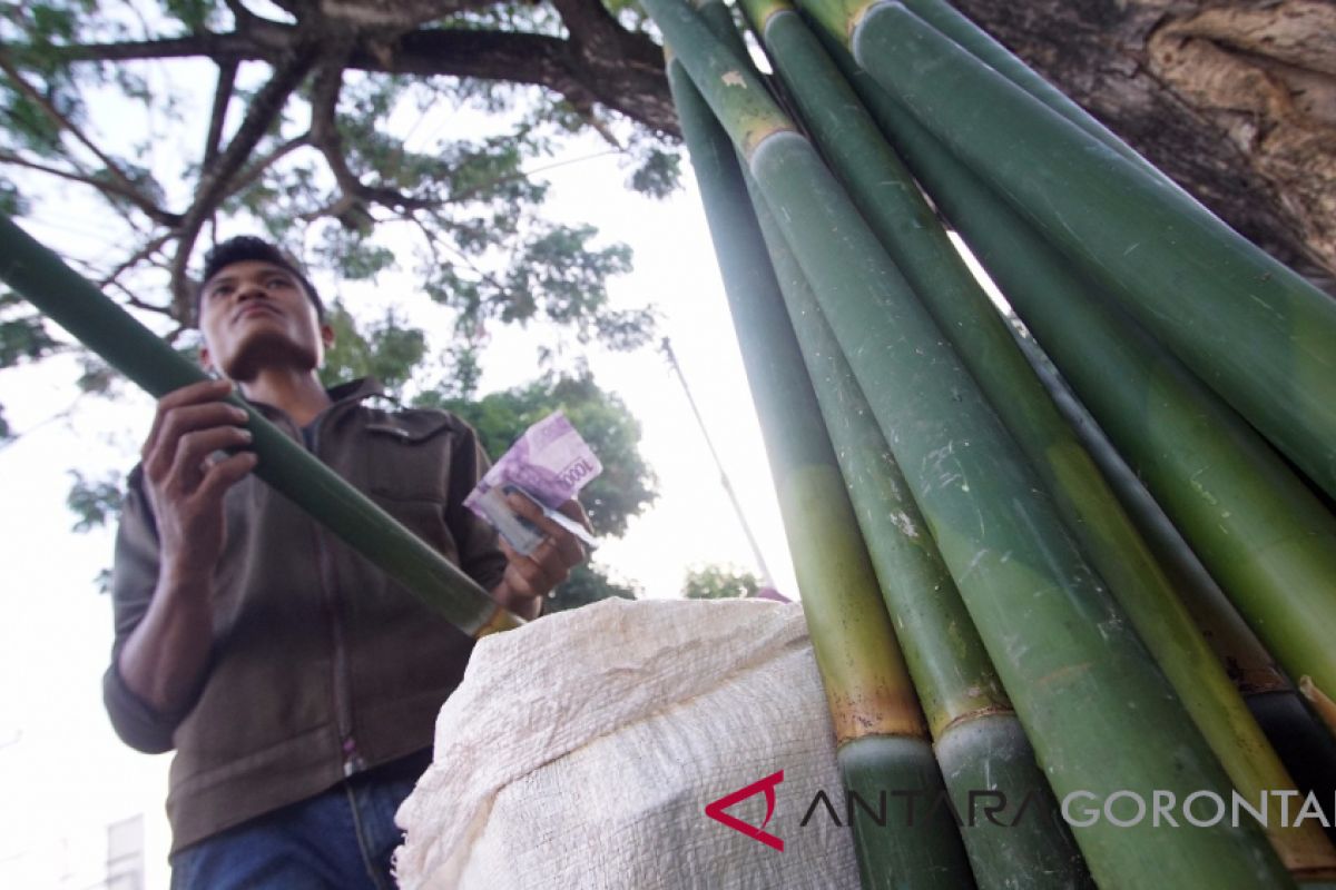 Penjualan Bambu Untuk 