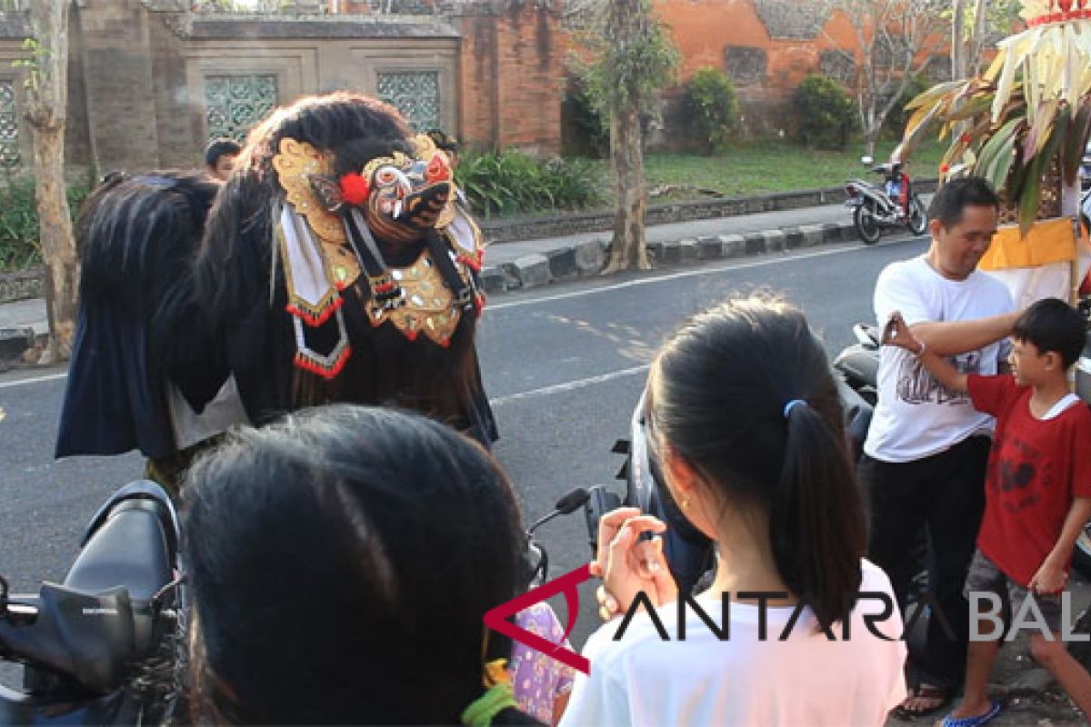 Liburan Galungan, siswa Tabanan gelar atraksi Barong Bangkung