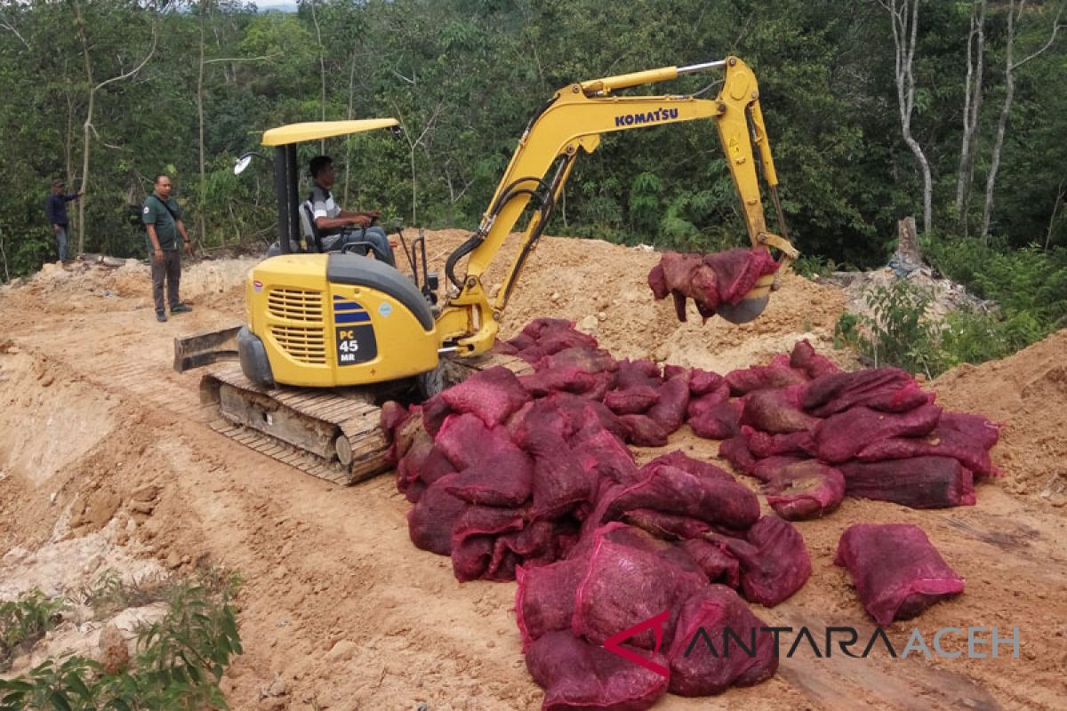 33 ribu Kg bawang seludupan dimusnahkan