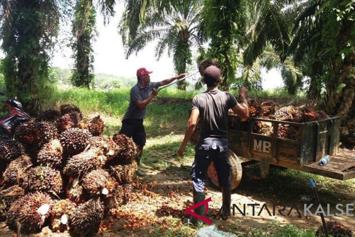 BUMDes Mekar Jaya terbaik kedua di Kalsel