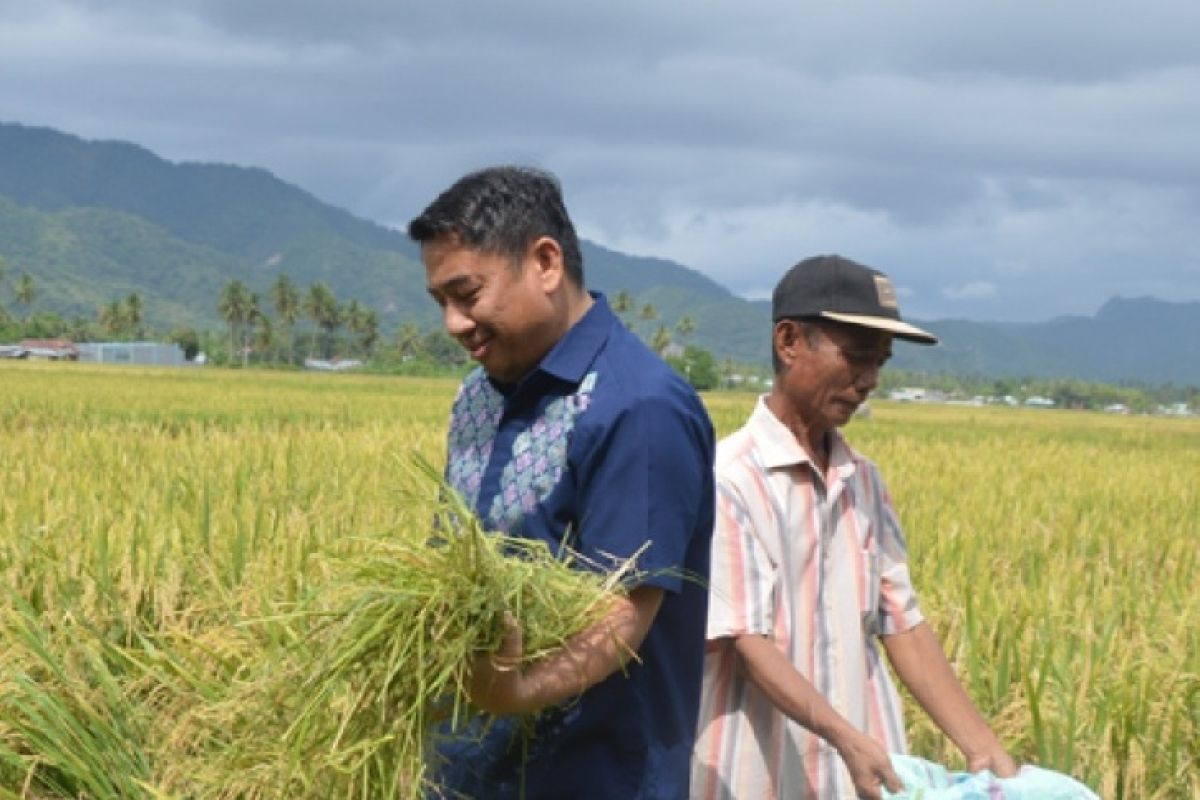 Bupati Hamim: Irigasi Alale-Lomaya Banyak Bantu Pertanian