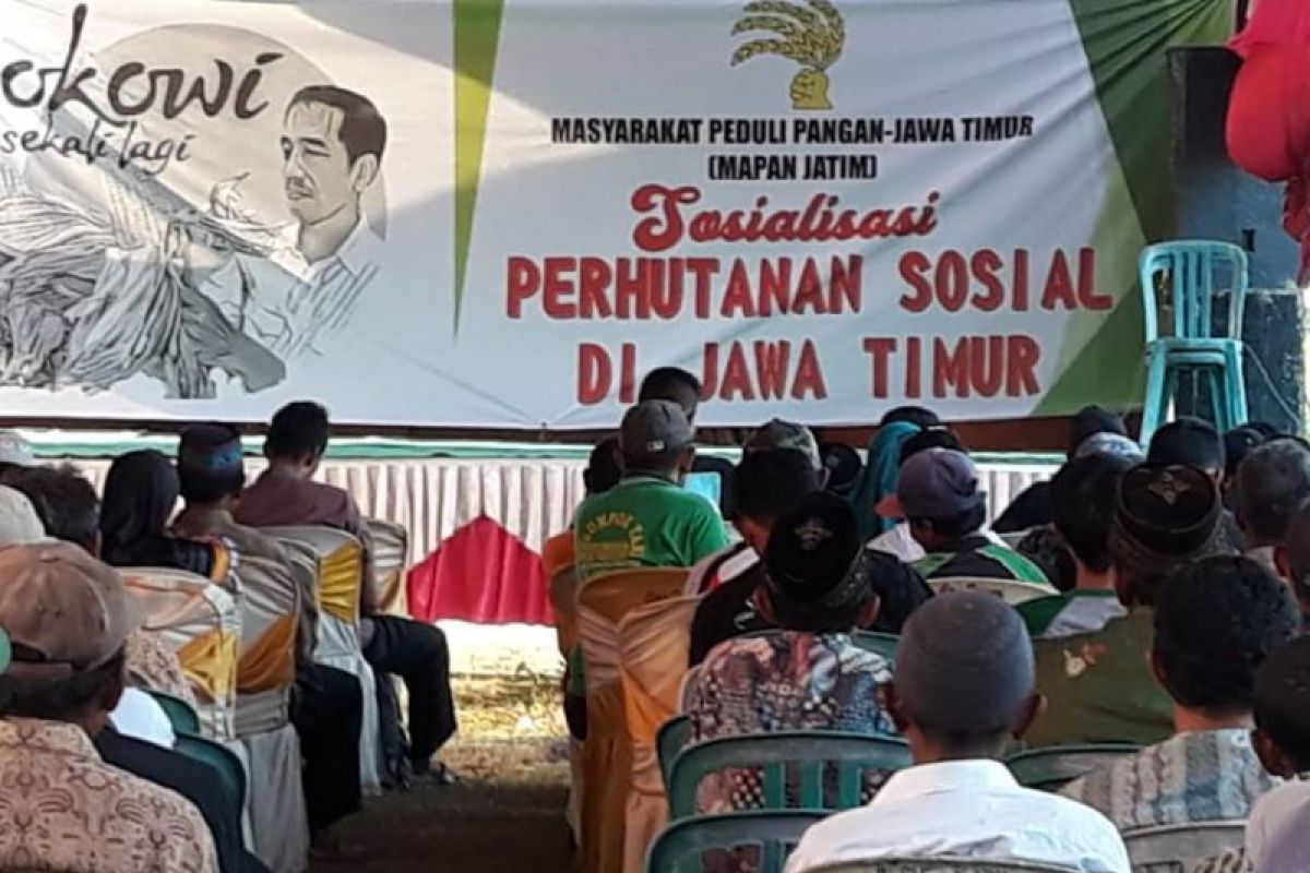 Mapan Bentuk Posko Perhutani Kenalkan Program Gus Ipul-Puti