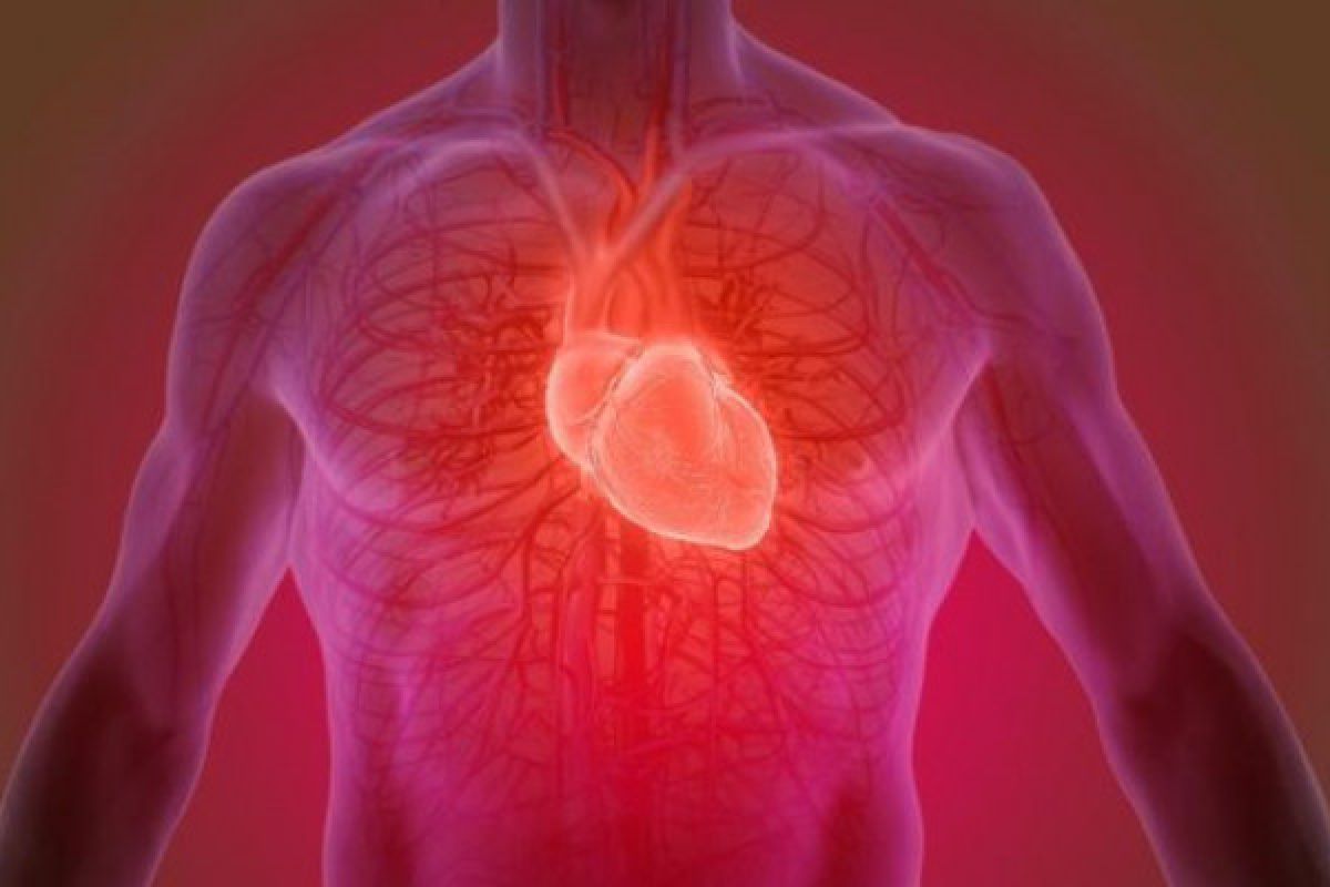 Kenali rasa nyeri dada akibat sakit jantung