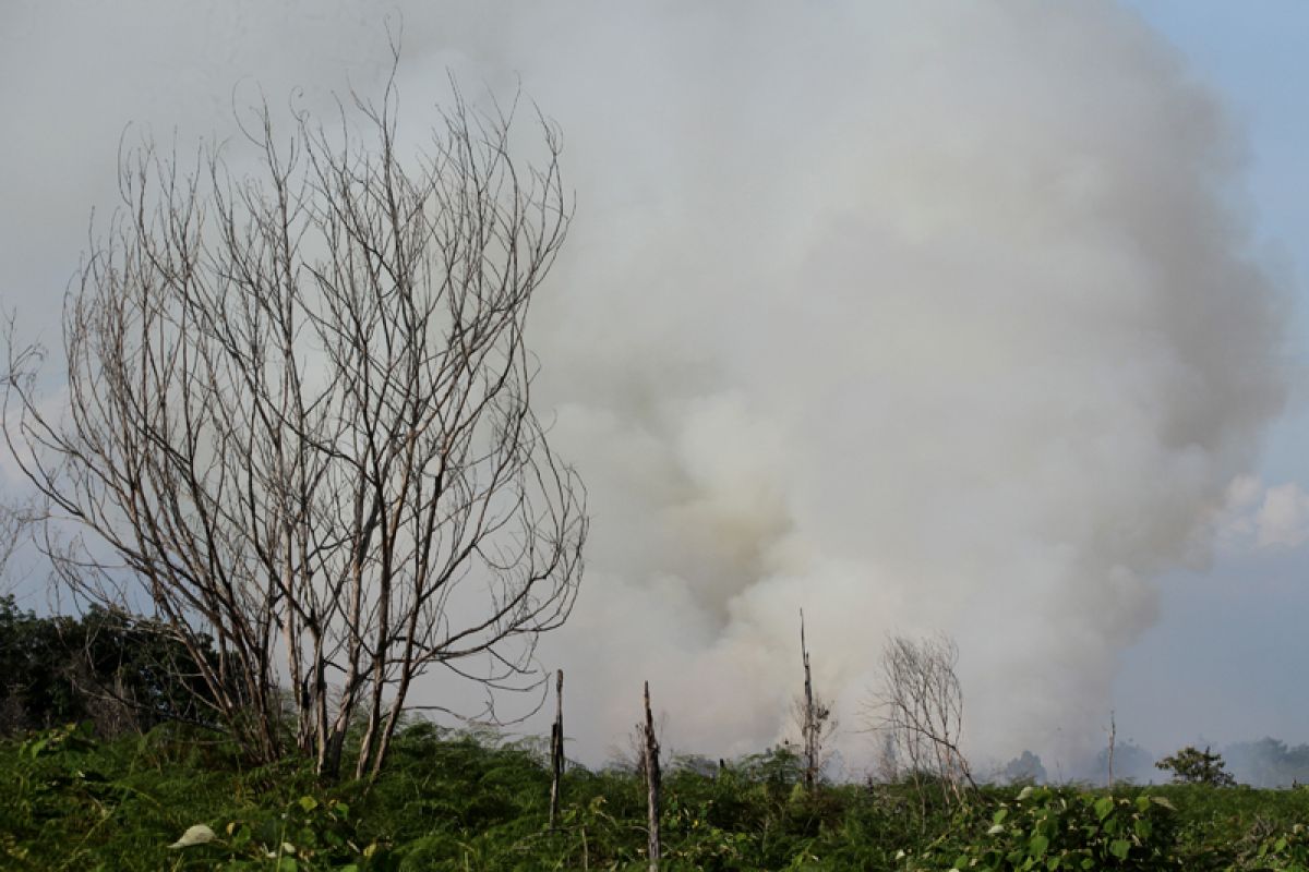 Empat hektare lereng gunung hangus terbakar