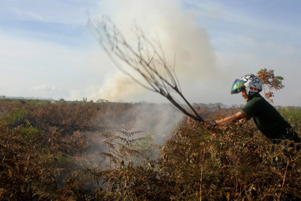 Tiga hektare lahan gambut di Aceh terbakar