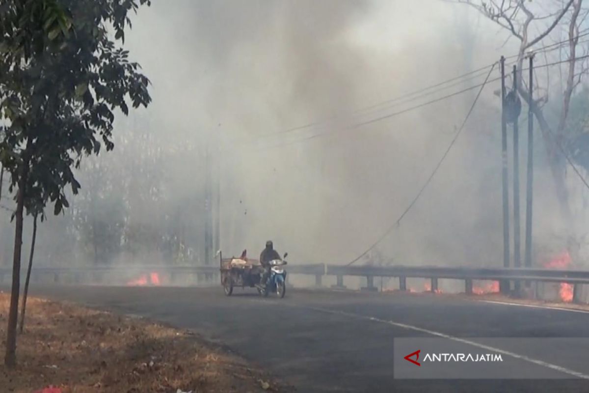 Hutan Taman Nasional Baluran Situbondo Kembali Terbakar