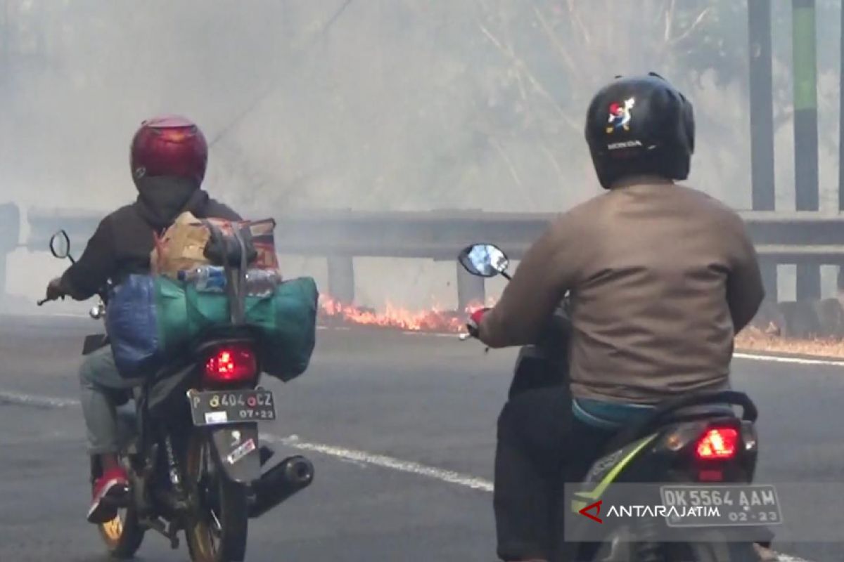 Kebakaran Hutan Baluran Situbondo Sempat Macetkan Jalur Pantura