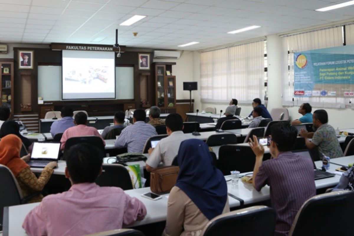 IPB gali potensi penerapan animal welfare pada rantai pasok sapi potong