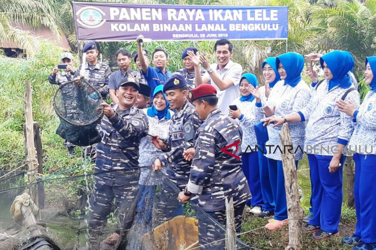 Lanal Bengkulu panen lele