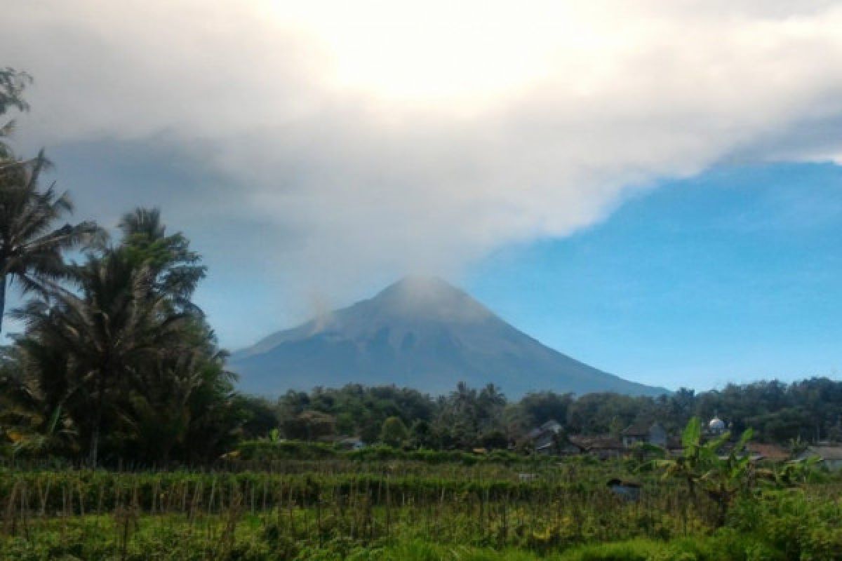 Warga dengar gemuruh erupsi Merapi cukup keras