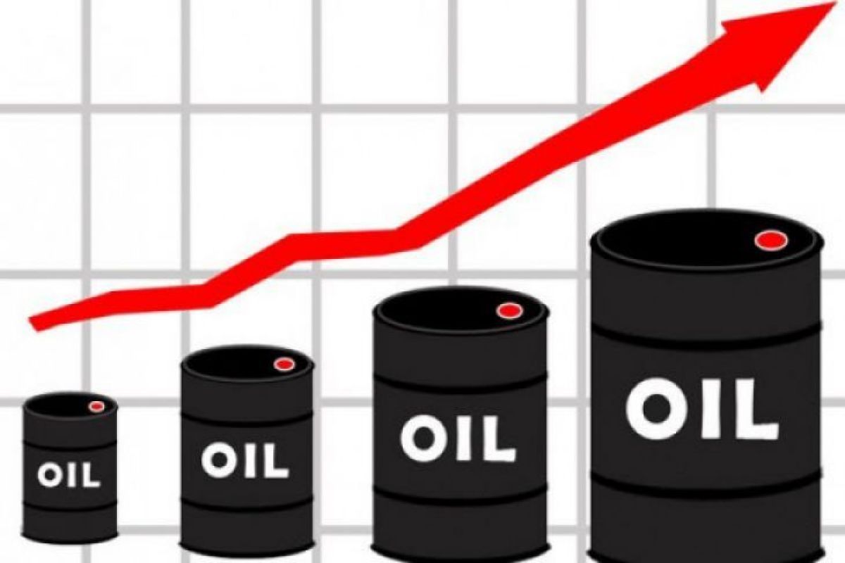 Minyak naik terangkat pemangkasan produksi OPECc dan penguatan pasar saham