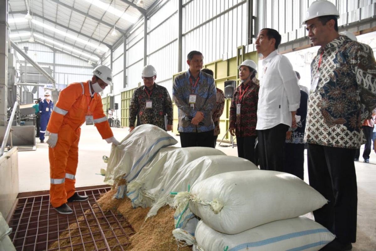 Presiden minta petani sinergi tingkatkan produksi