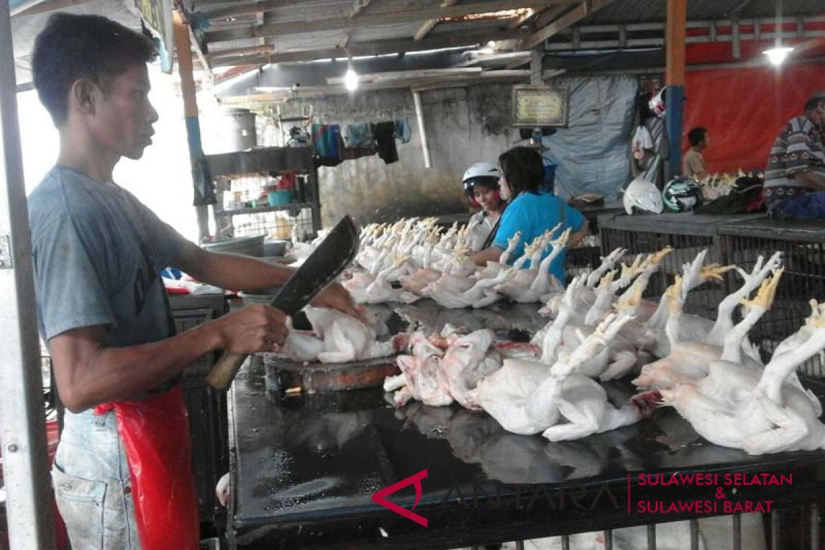 Harga daging ayam di Makassar naik