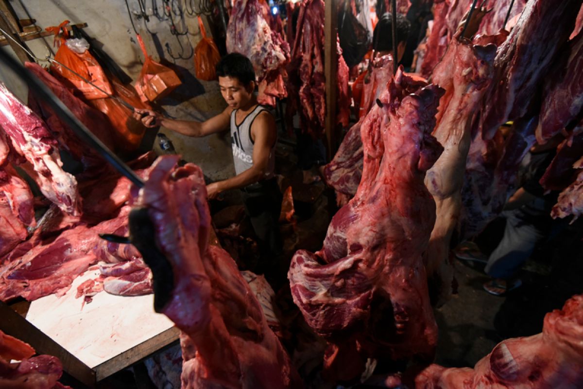 Harga daging sapi tembus Rp130.000/kg di Lampung
