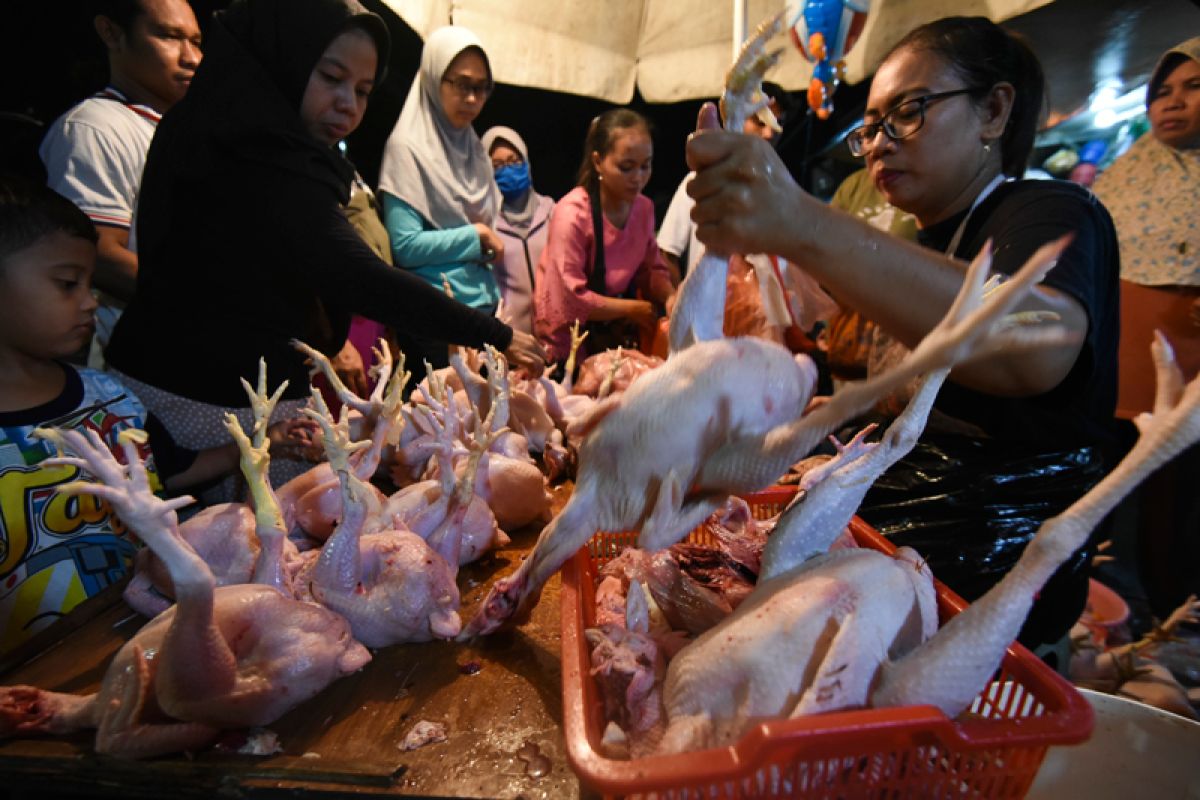 Peternak ayam potong apresiasi langkah cepat pemerintah atasi kemerosotan harga