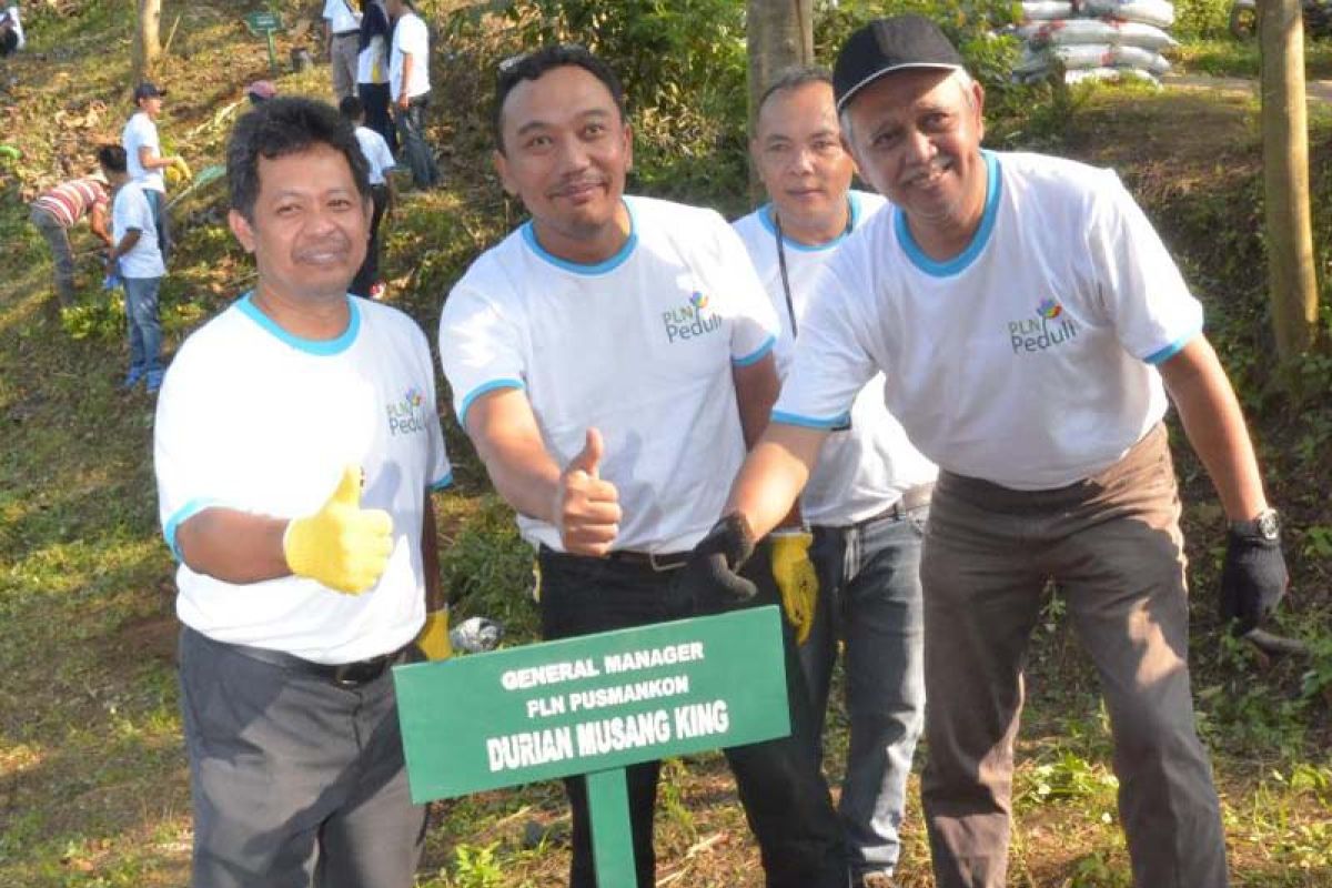 Peringati Hari Lingkungan Hidup, PLN tanam 32.000 pohon