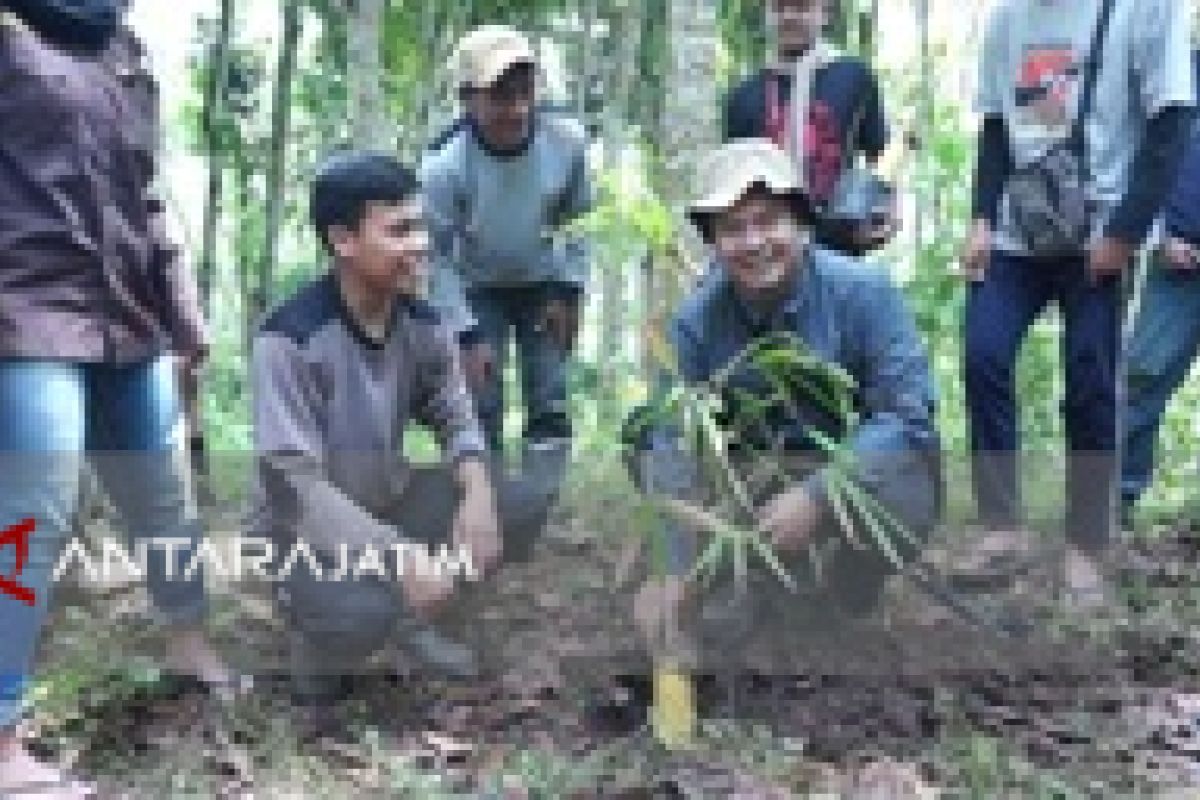 UMM Jaga Sumber Air Kucur  di Kabupaten Malang