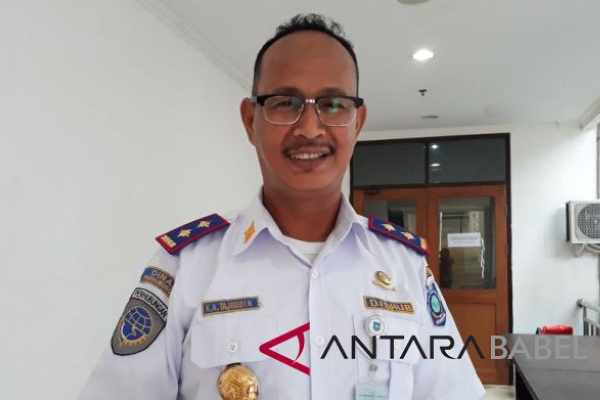 Pemprov Bangka Belitung data penumpang angkutan udara