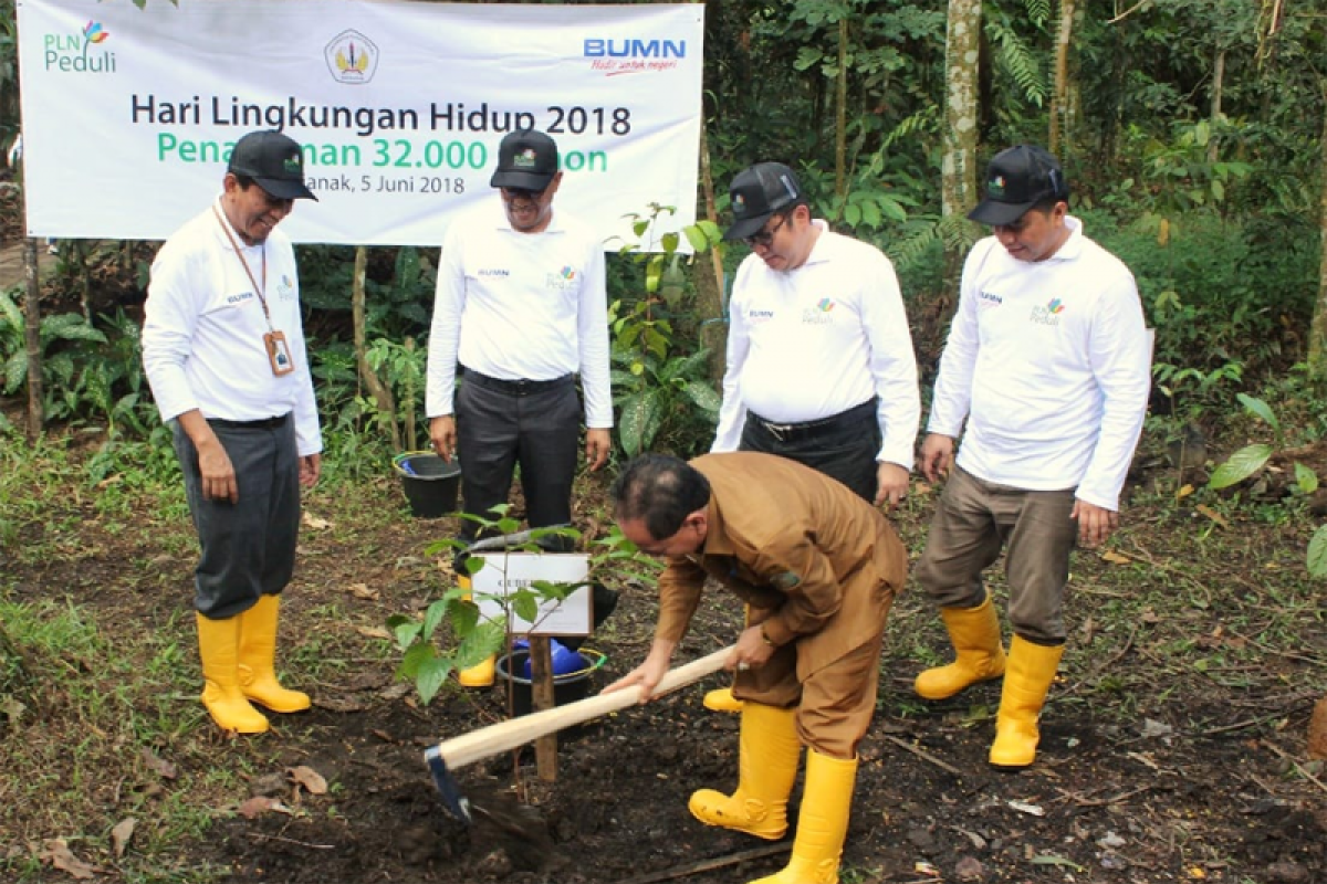 Seribu pohon dari PLN untuk Kalbar