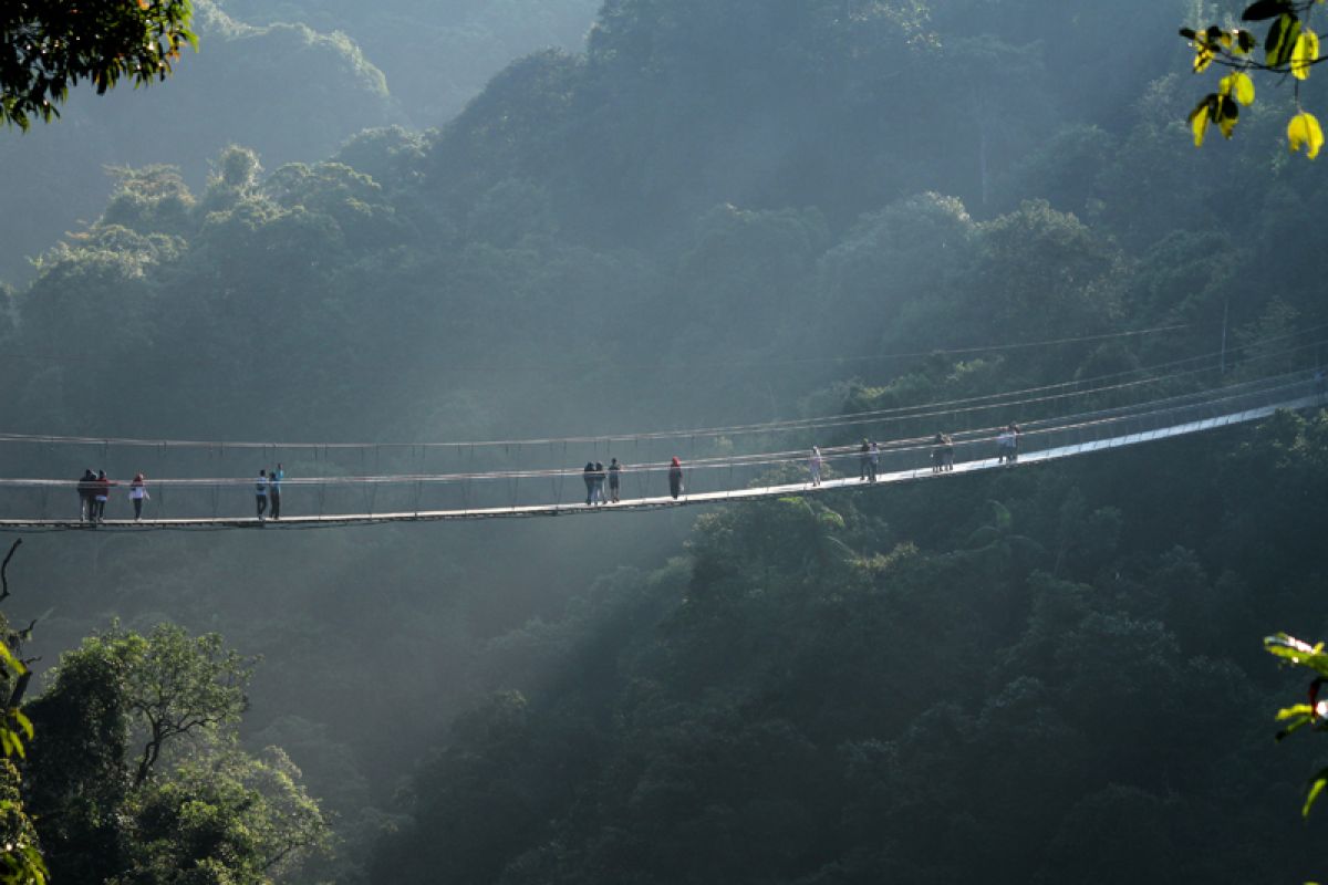 Gunung Gede Pangrango  ditutup sementara