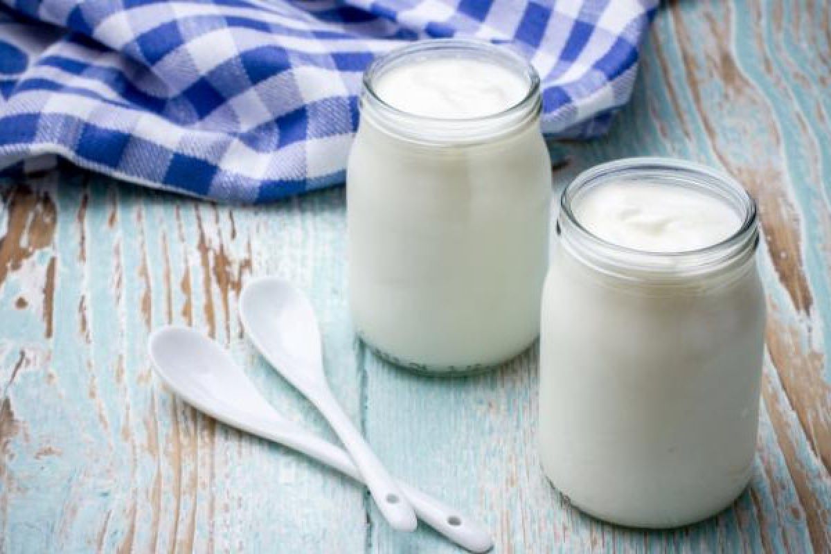 Kanker usus besar bisa dicegah dengan yogurt