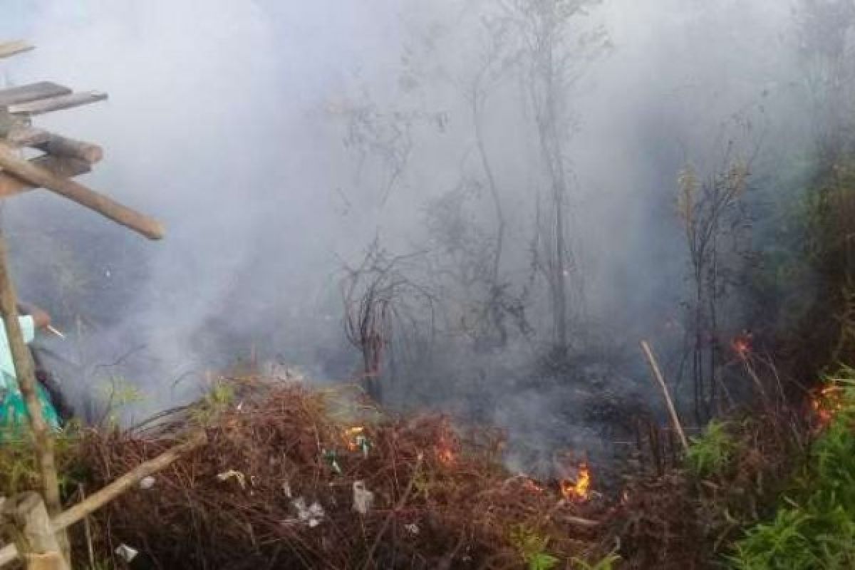  Lokasi Wisata Ulu Kasok Kampar Terbakar