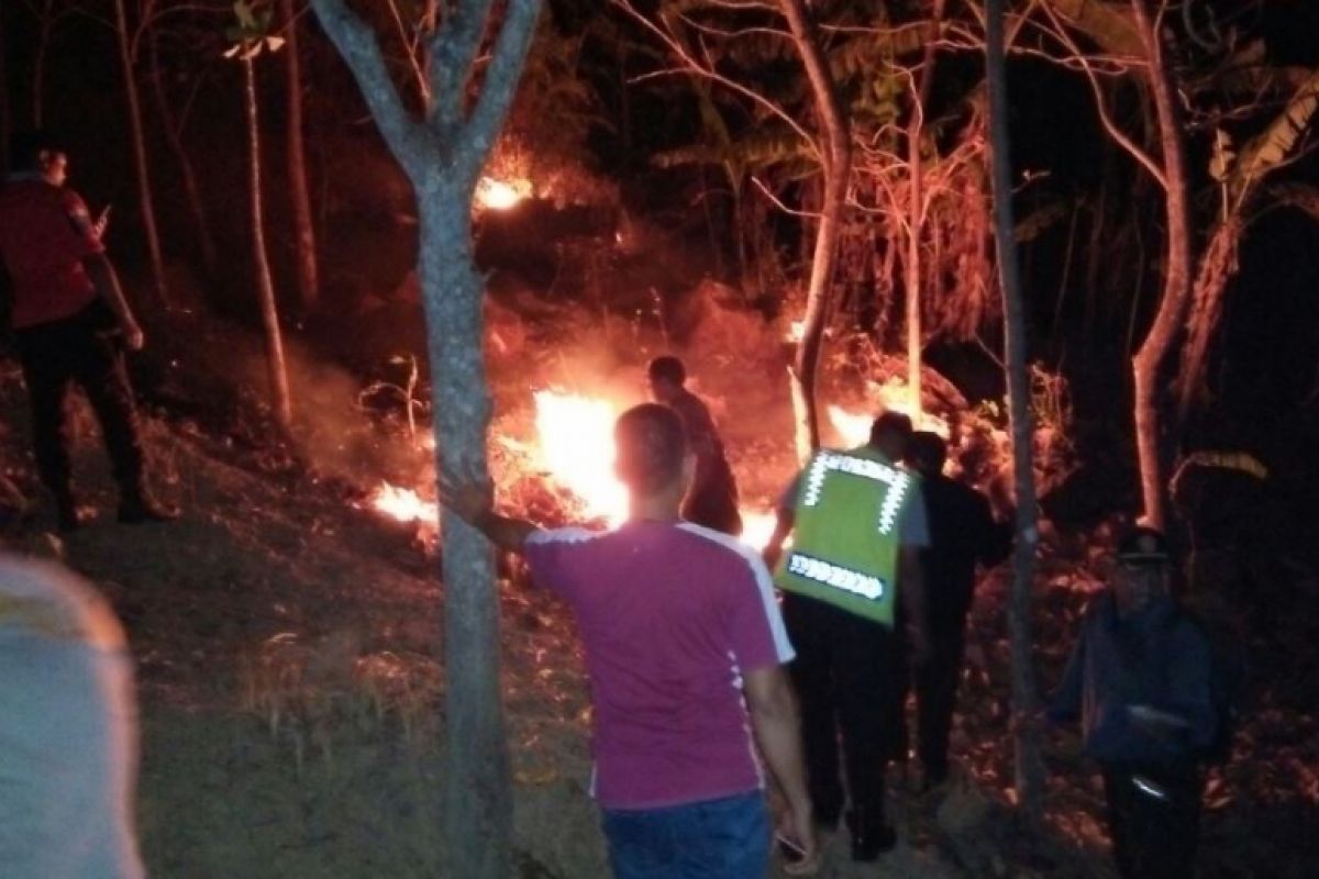 Hutan Jati Milik Perhutani di Ponorogo Terbakar