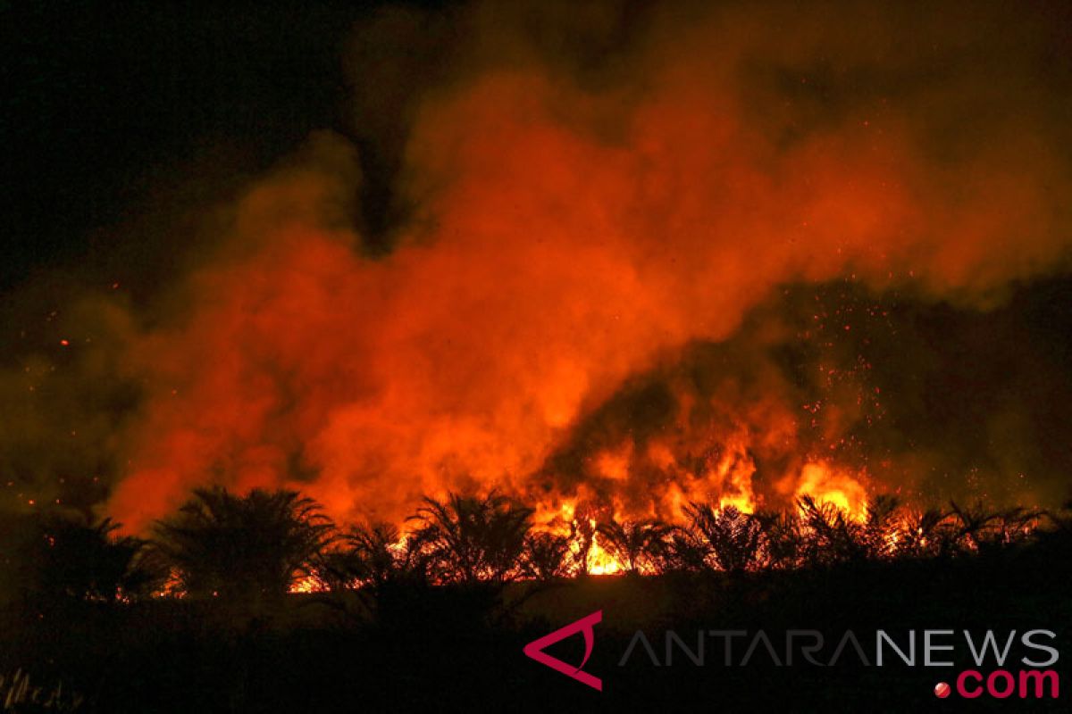 Kebakaran hutan tak ganggu operasional Bandara Silangit