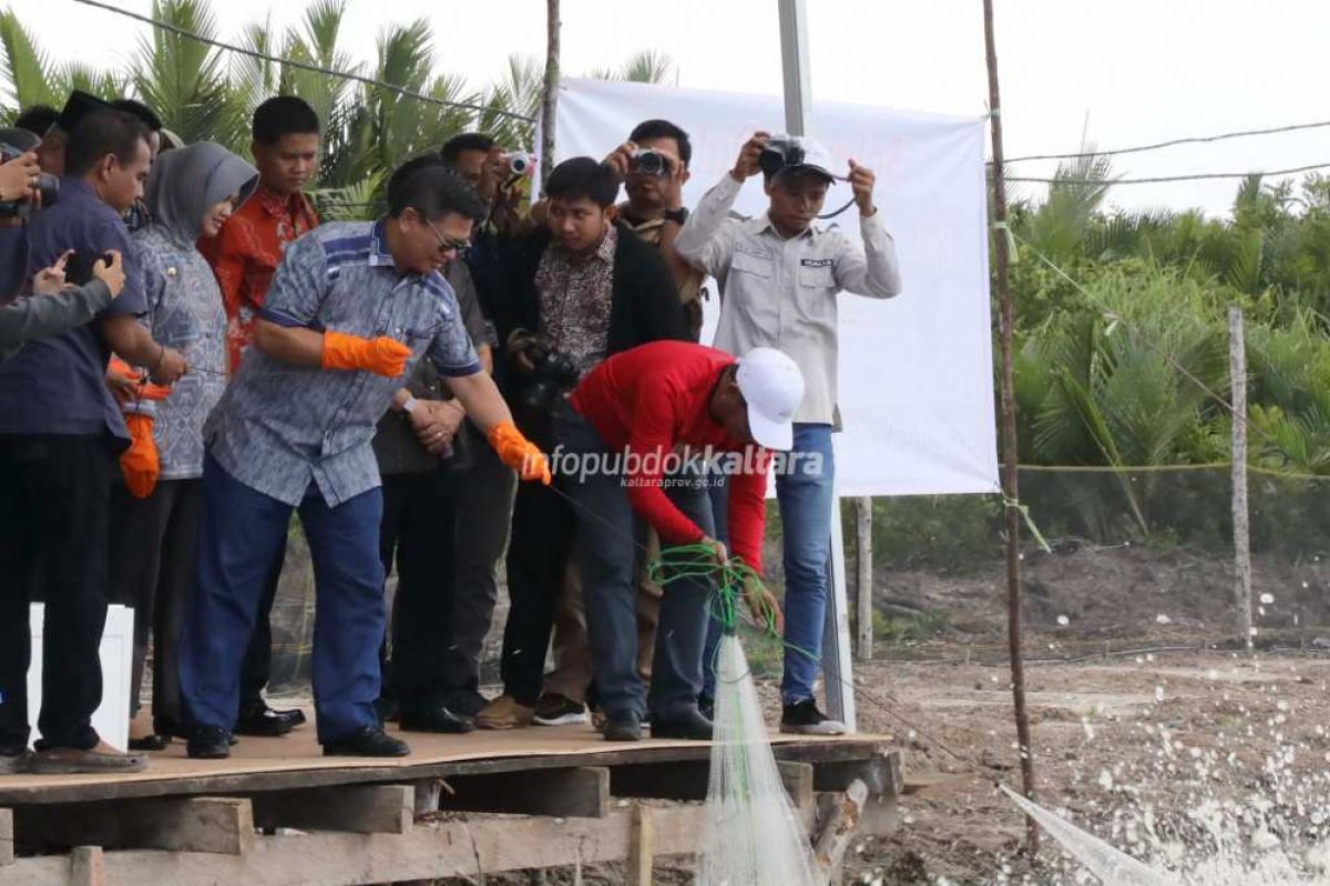 75 Ribu Ha Tambak di Kaltara akan Dilegalkan