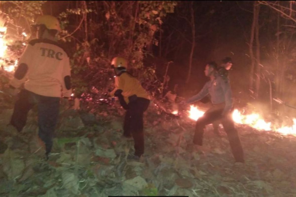 Hutan Rakyat Dua Hektare di Ponorogo Terbakar