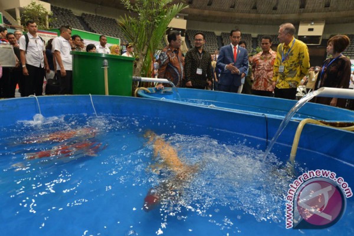 Jokowi: Industri peternakan berkembang cepat