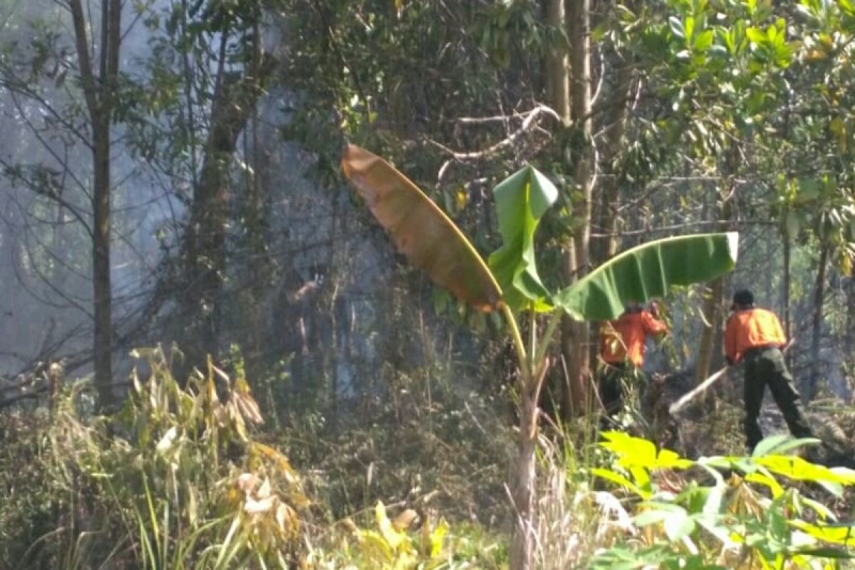 Kebakaran lahan terjadi dua lokasi di Sampit