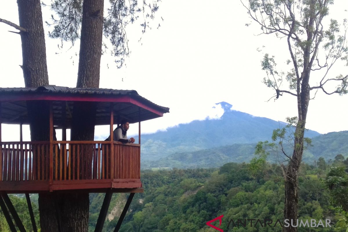 Menikmati Ngarai Sianok dari rumah pohon