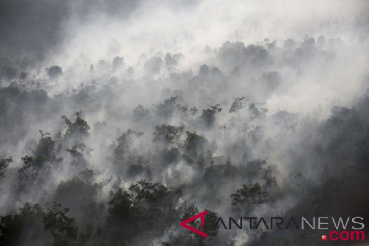 BNPB: Hukum panglima tertinggi penanganan kebakaran hutan