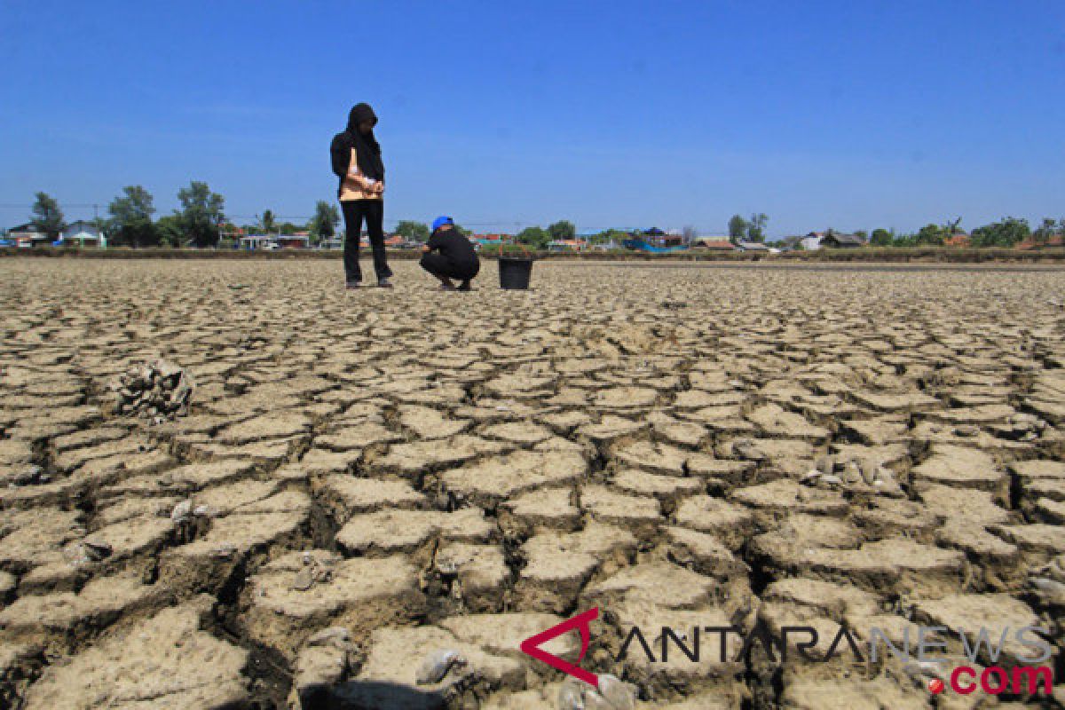 Drought affects 22 districts, cities in West Java