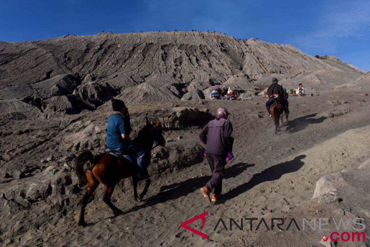 Kebakaran kawasan Bromo berhasil dipadamkan