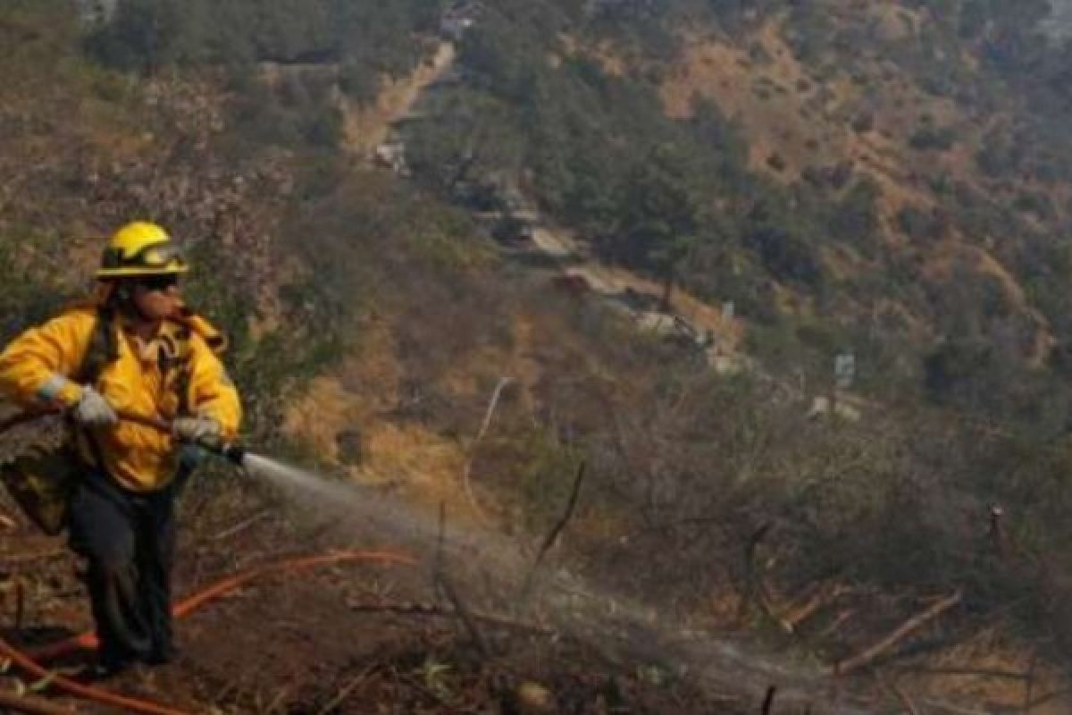 36.400 Hektare Lahan Terbakar di California, 17 Orang Hilang