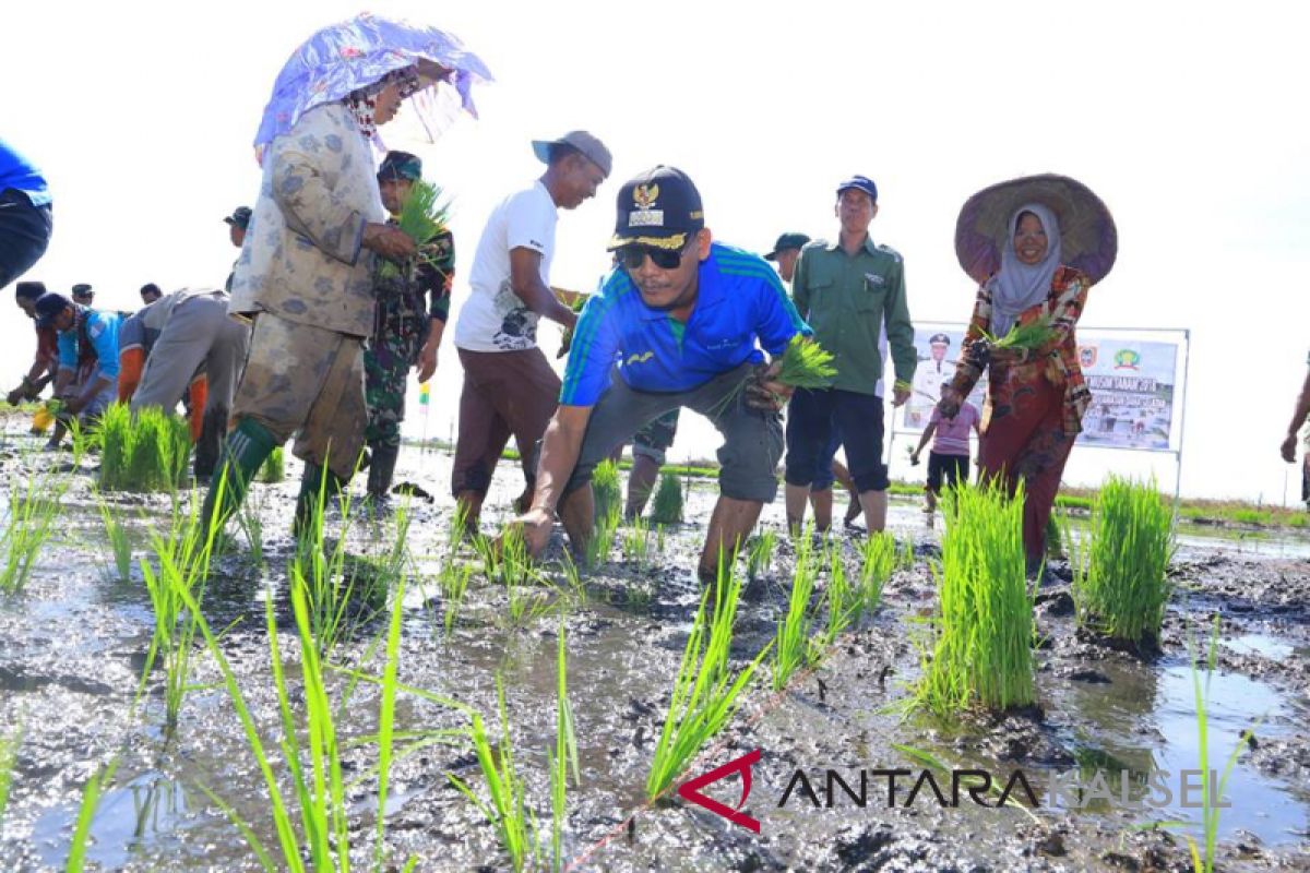 HSS galakkan gerakan tanam padi di lahan lebak