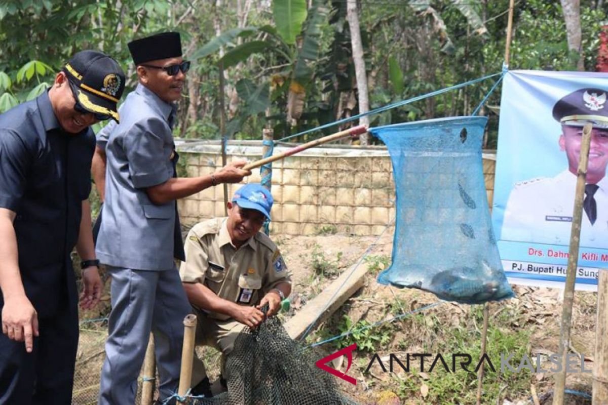 Dahnial Kifli panen ikan bersama Pokdakan Kandis