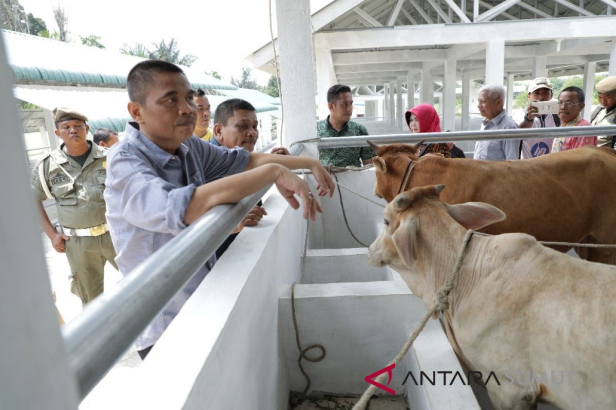 Pemkab Asahan Jamin hewan kurban berkualitas di Pasar Ternak