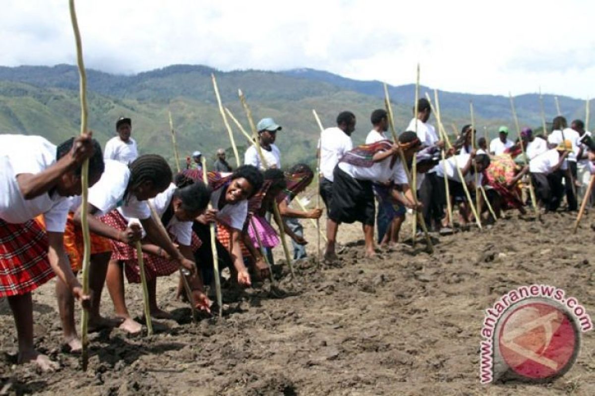 Bantuan Kemensos Menjangkau Warga Krisis Pangan Maluku