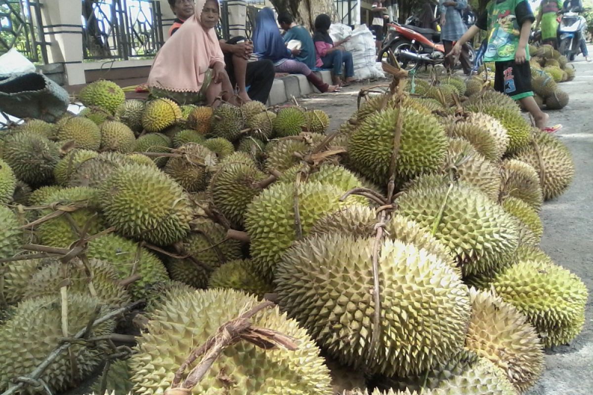 Kota Parigi dibanjiri buah durian