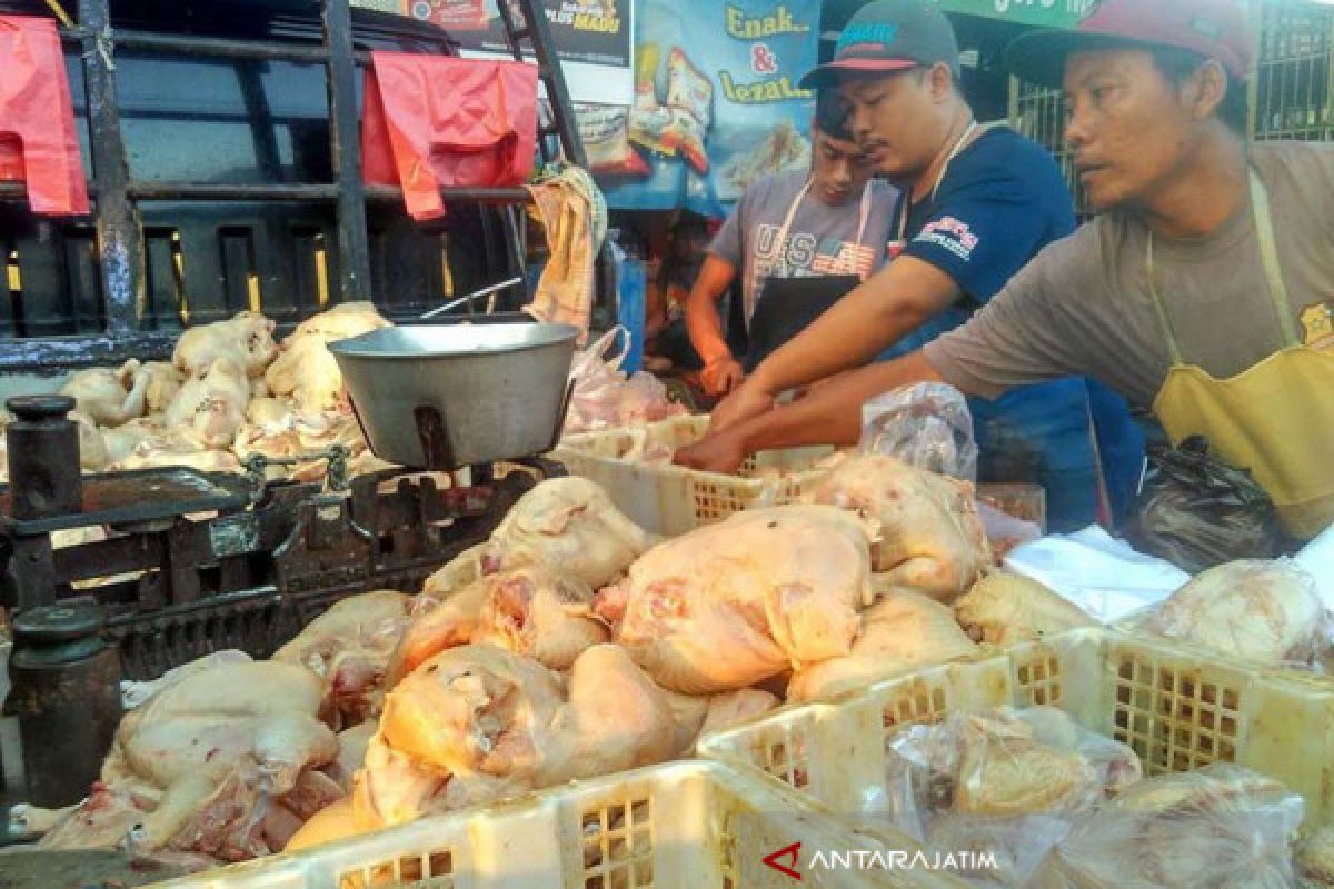 Harga Daging Ayam di Bojonegoro Stabil Tinggi