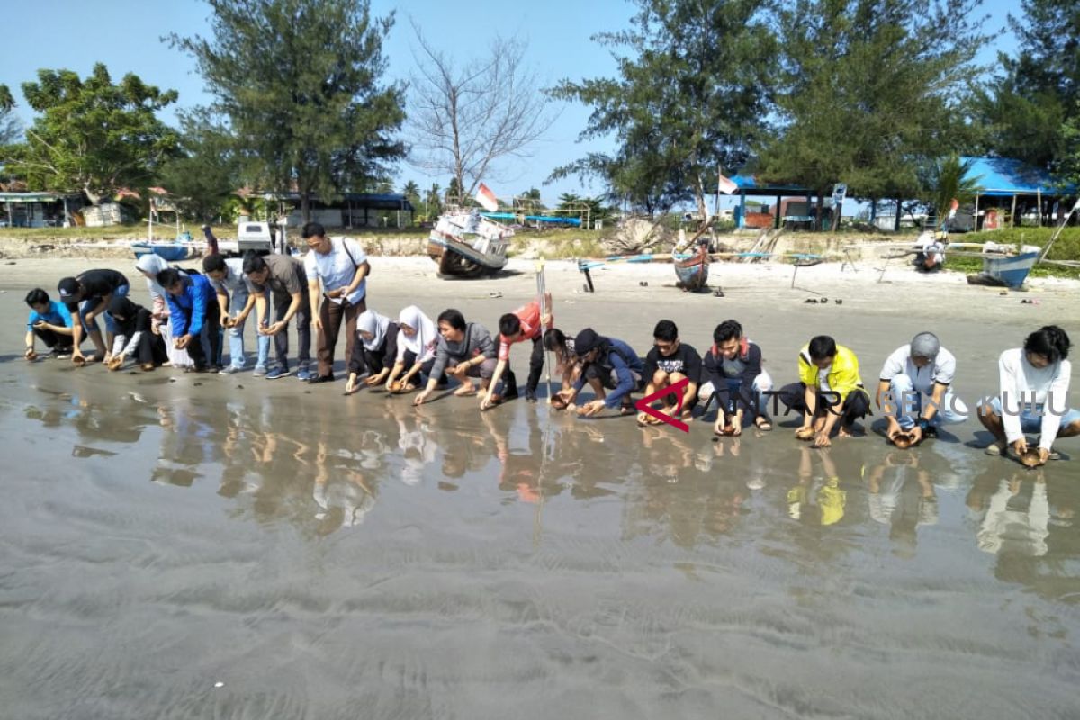 Tukik langka dilepas di pantai Tapak Paderi Bengkulu